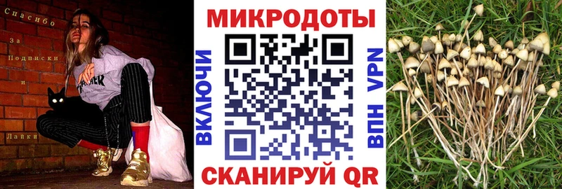 сколько стоит  Учалы  Галлюциногенные грибы Psilocybe 
